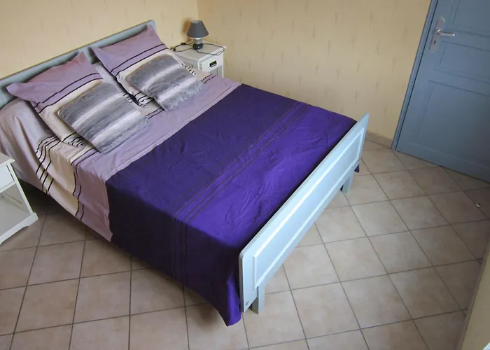 Le Clos Des Erables Montesquieu (Tarn-et-Garonne)